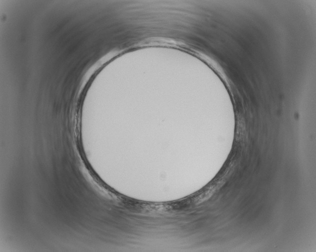 X0000081631003200702121700