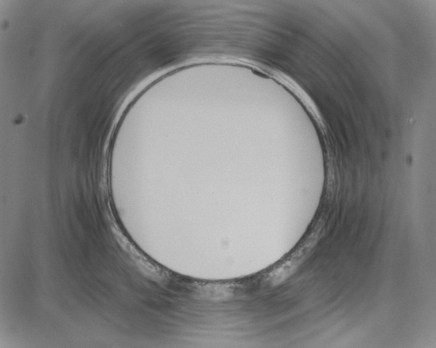 X0000081631004200702121700