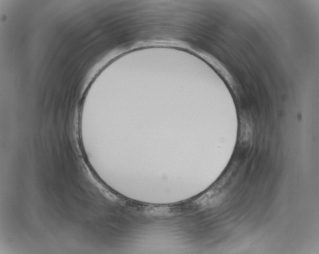 X0000081631006200702121700