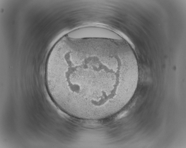 X0000081631007200702121700