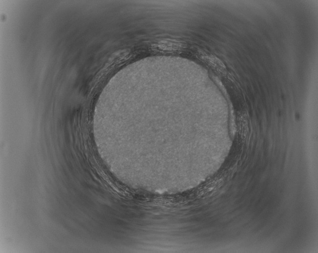 X0000081631009200702121659