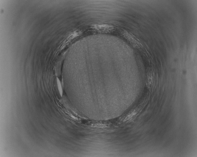 X0000081631010200702121659