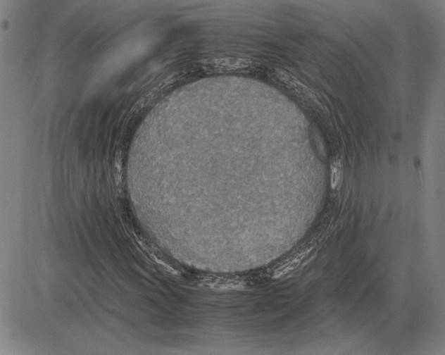 X0000081631011200702121659