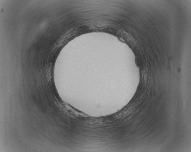 X0000081631012200702121659