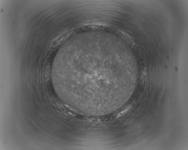 X0000081631014200702121659