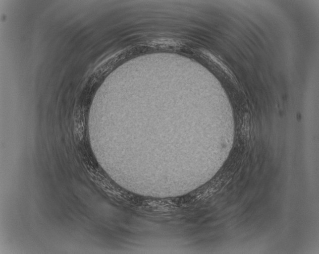 X0000081631015200702121659