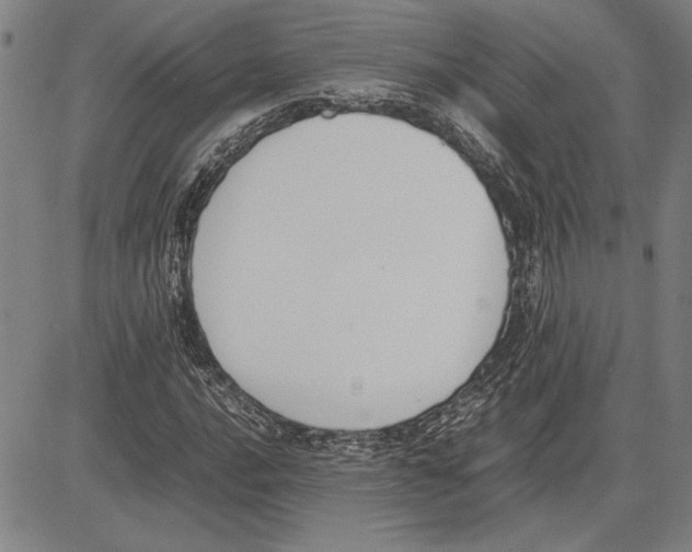 X0000081631016200702121659