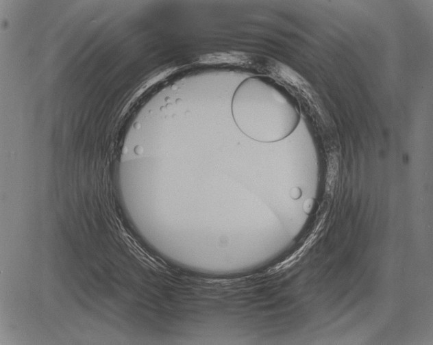 X0000081631017200702121659