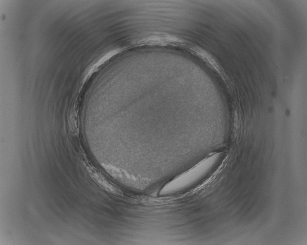 X0000081631018200702121659