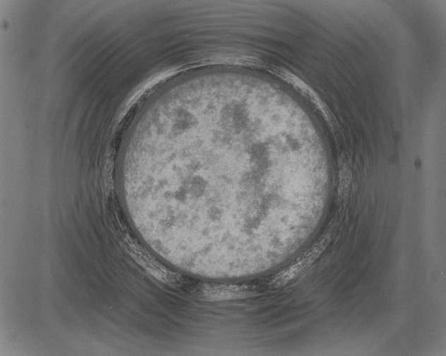 X0000081631019200702121659