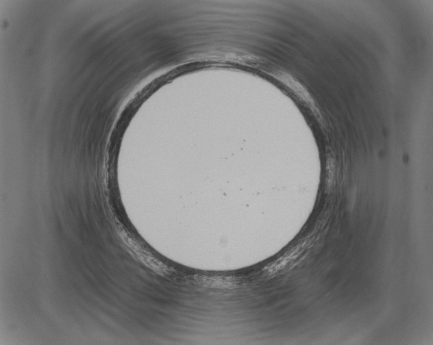 X0000081631020200702121659