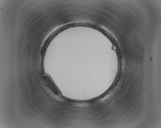 X0000081631021200702121659