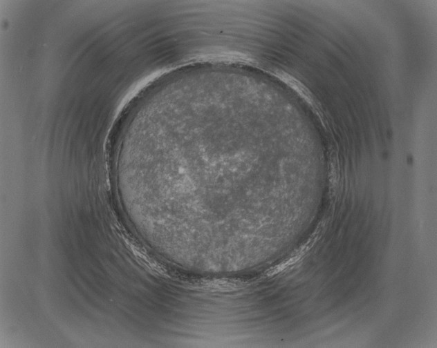 X0000081631022200702121659