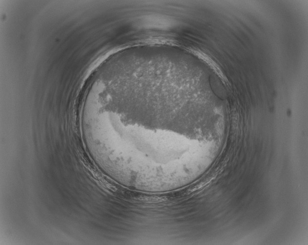 X0000081631023200702121659