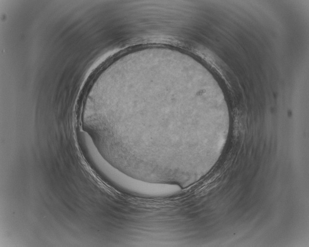 X0000081631024200702121659