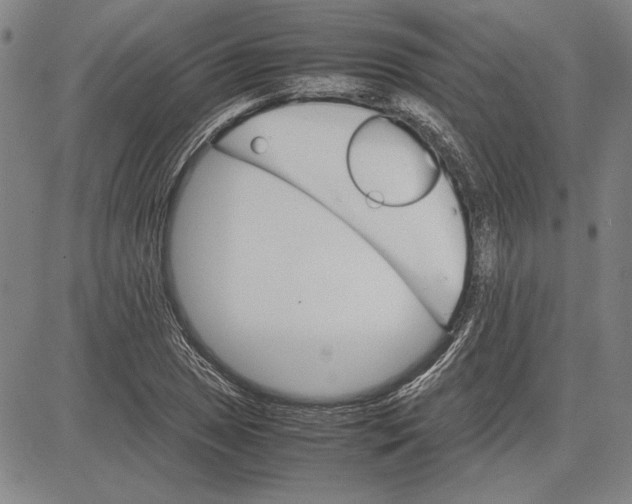 X0000081631025200702121659