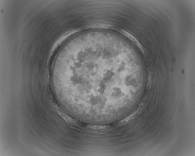 X0000081631027200702121659