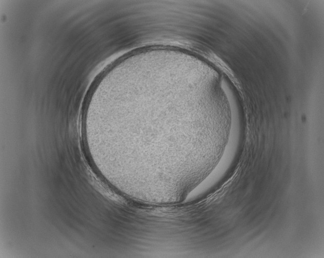 X0000081631028200702121659