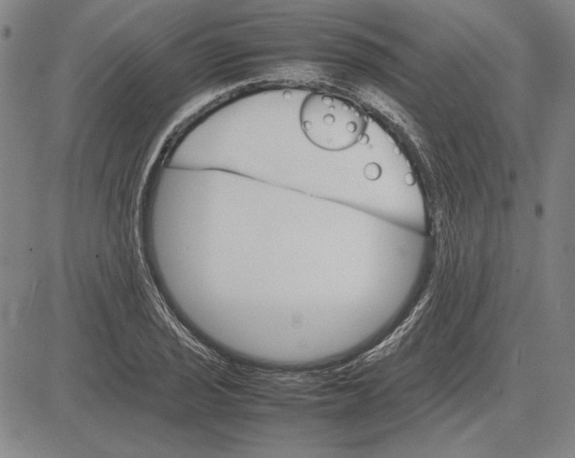 X0000081631029200702121659