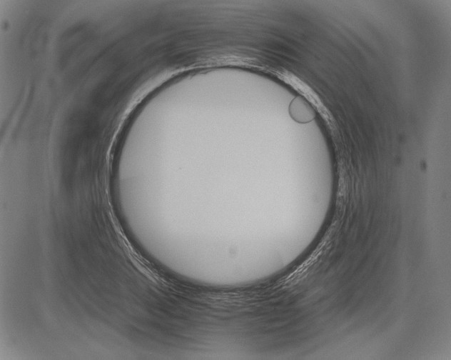 X0000081631031200702121659