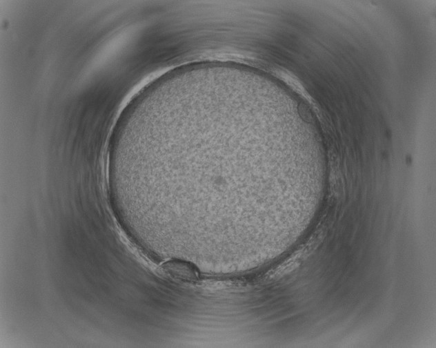 X0000081631032200702121659