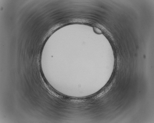 X0000081631033200702121659