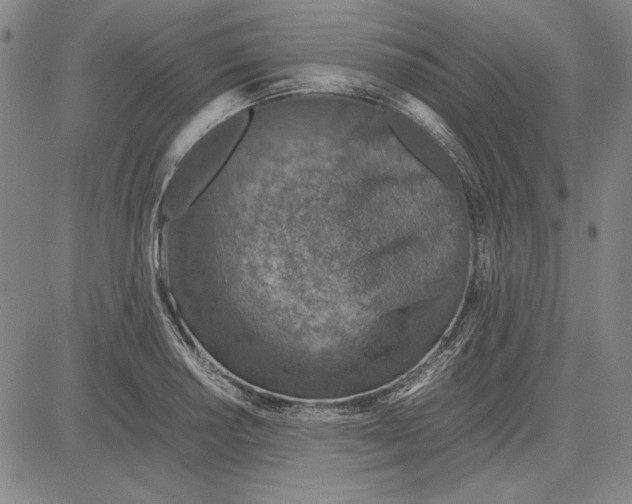 X0000081631034200702121659