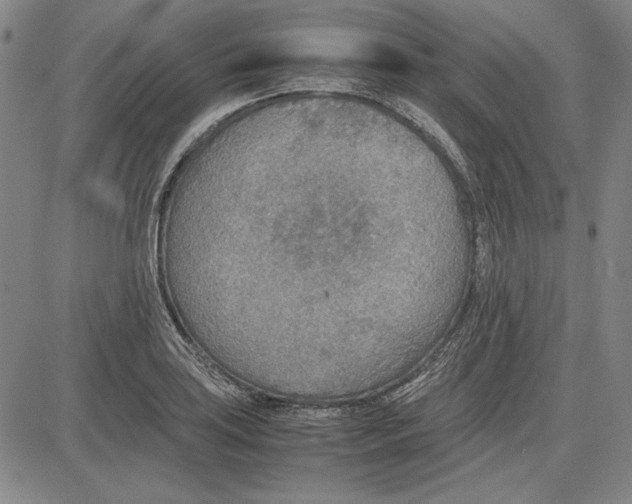 X0000081631035200702121659