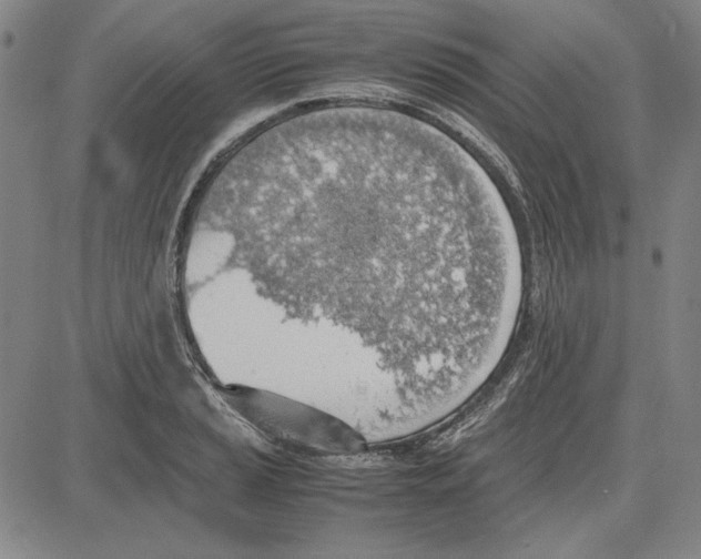 X0000081631037200702121659