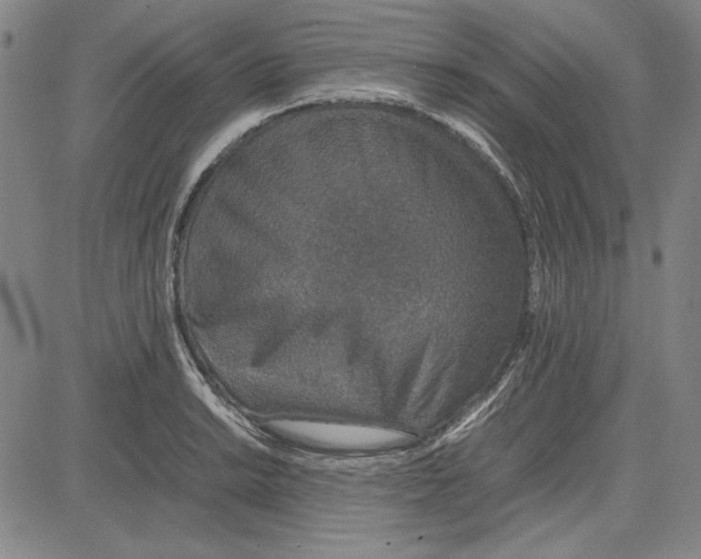 X0000081631038200702121659