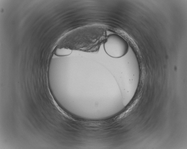 X0000081631041200702121700