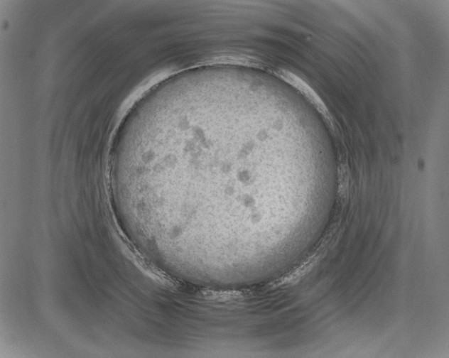 X0000081631043200702121700