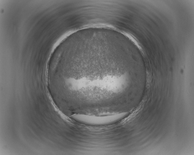 X0000081631046200702121700