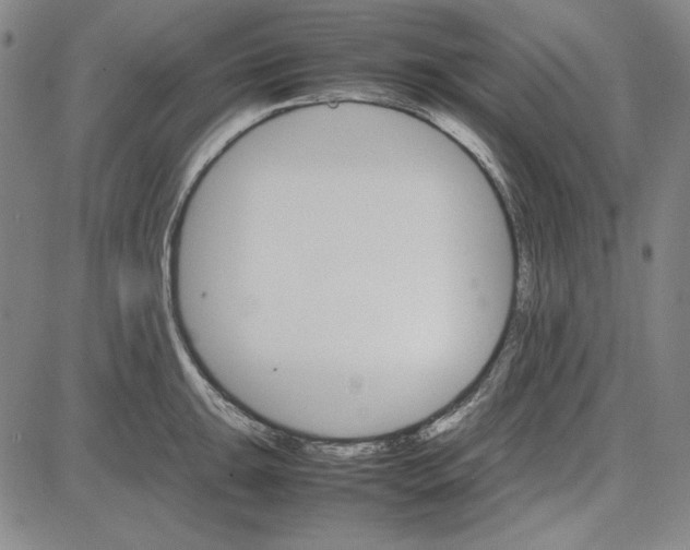 X0000081631047200702121700