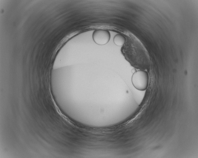 X0000081631049200702121700