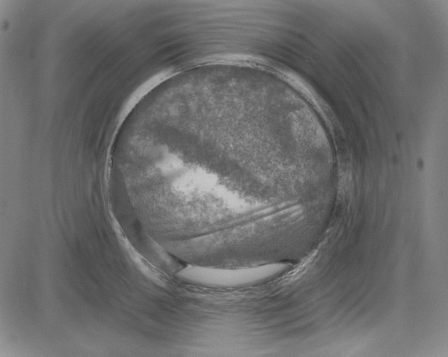 X0000081631050200702121700