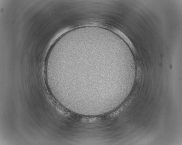 X0000081631051200702121700