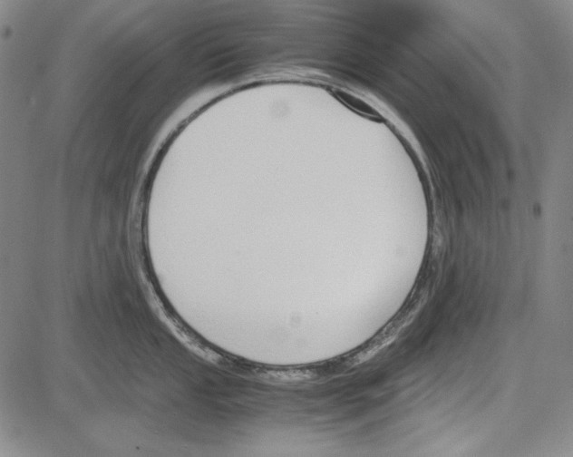 X0000081631053200702121700