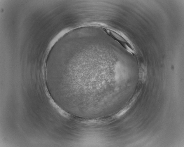 X0000081631054200702121700