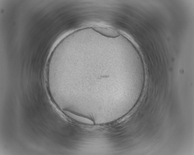 X0000081631056200702121700