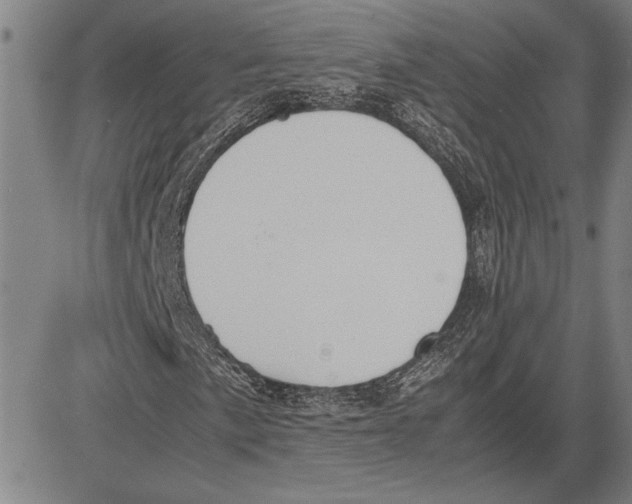 X0000081631057200702121659