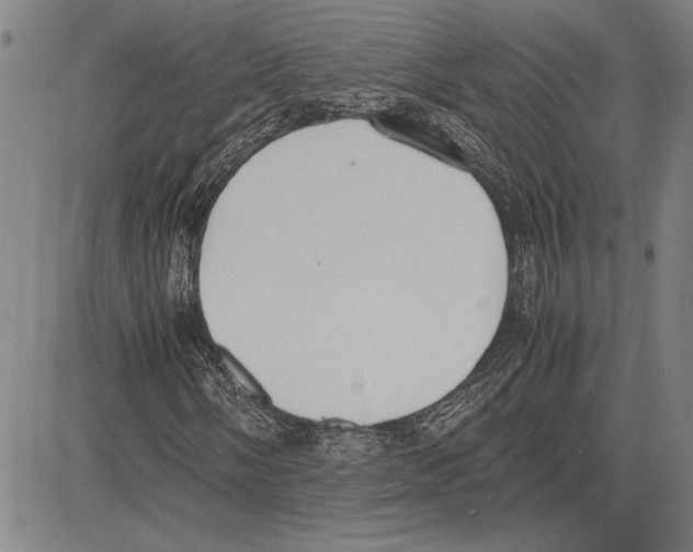 X0000081631058200702121659