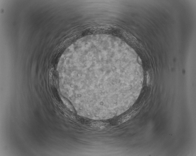 X0000081631059200702121659