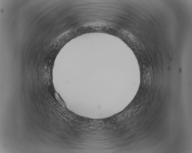 X0000081631062200702121659