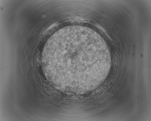 X0000081631063200702121659