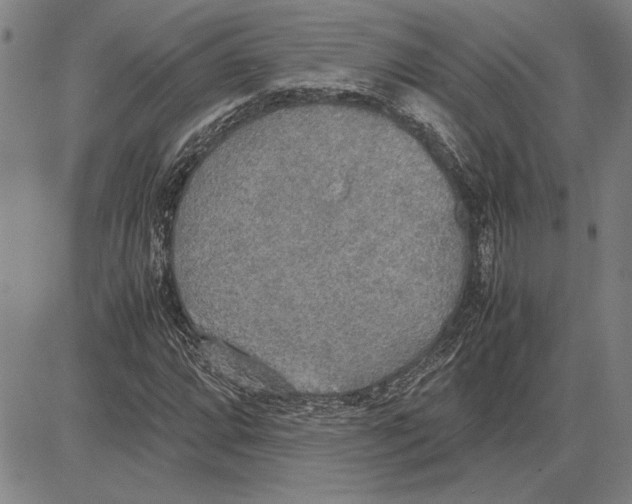 X0000081631064200702121659