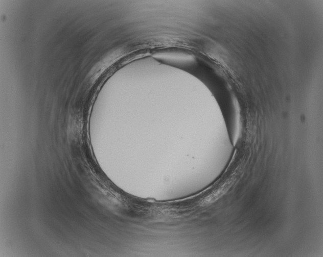 X0000081631065200702121659