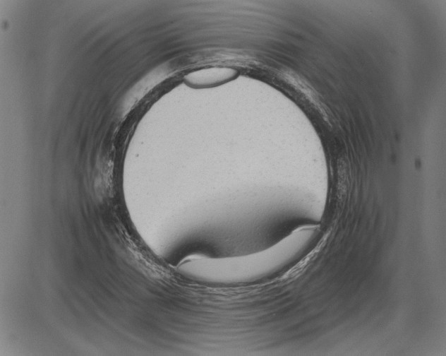 X0000081631066200702121659