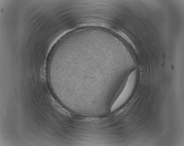 X0000081631068200702121659