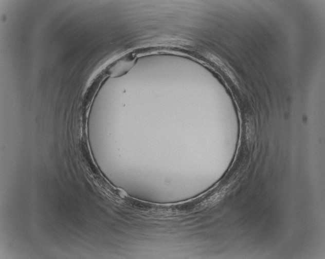 X0000081631069200702121659